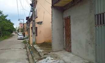 Imagem: Kit net (terra firme, conjunto flora