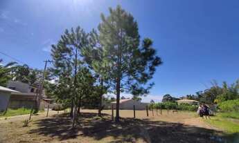 Imagem: Terreno para Venda em Imbituba, Arroio
