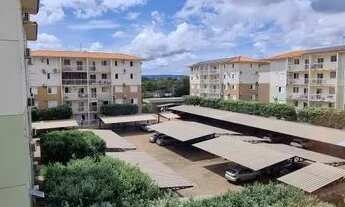 Imagem: Ap Noel Rosa