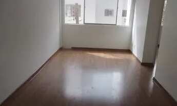 Imagem 3: Apartamento de 2 quartos para alugar no bairro Itacorubi