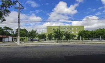 Imagem: Apartamento Padrão em Pelotas