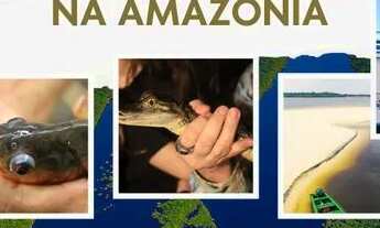 Imagem 4: Casa para venda possui 100 metros quadrados com 3 quartos em Parque 10 de Novembro - Manau