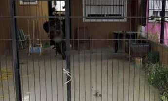 Imagem 5: Casa para Venda - 41m², 2 dormitórios, 2 vagas - Restinga