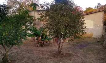 Imagem 6: Vendo chácara em Conchas