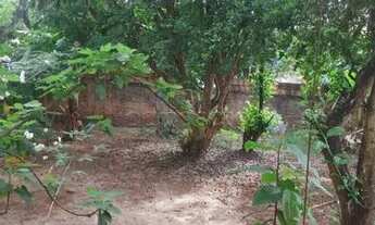 Imagem 6: Casa Padrão em São José do Rio Preto