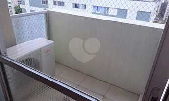 Imagem 6: MOEMA PASSAROS REFORMADO