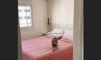 Imagem 6: Lindo apto a venda no Vila Nova Sabará, 3 dorms, 1 suite, 2 vagas e varanda gourmet