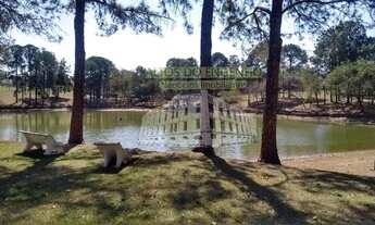 Imagem 5: Casa para aluguel possui 250 metros quadrados com 3 quartos