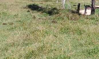 Imagem 5: Vendo Chácara com venda por R$400.000