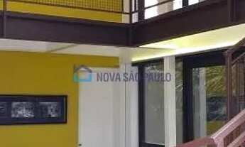 Imagem 7: Loja com mezanino e área verde Rua Cubatão