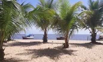 Imagem 3: Cutijuba, praia saudade aluguel