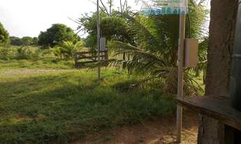 Imagem: Fazenda 2.180 hectares Pantanal Alto Região