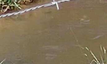 Imagem 4: Vendo Chácara com venda por R$400.000