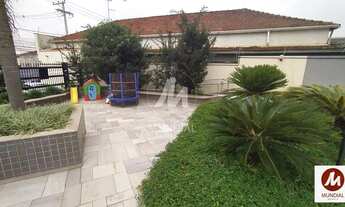 Imagem 3: Apartamento (tipo - padrao) 3 dormitórios/suite, cozinha planejada, portaria 24hs, elevado