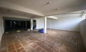 Imagem 5: Comercial GalpãoBarracão em Marília