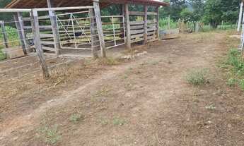 Imagem 7: Sitio na estrada da produção !