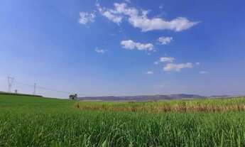 Imagem 2: Terreno para venda com 96800m² em Cravinhos