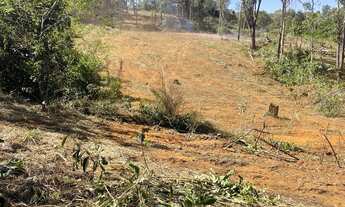 Imagem 7: Vende-se chácara de 04 alqueires