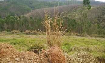 Imagem 2: Lote no Vale do Sereno