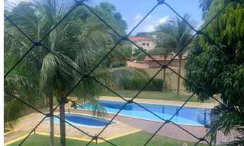 Imagem: Corais Enseada de Ponta Negra