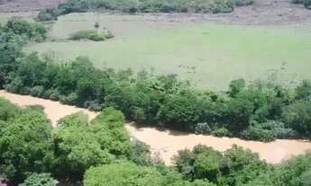 Imagem: Vende-se uma excelente fazenda de 238 hectares