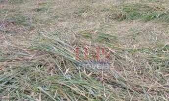 Imagem 3: Terreno à venda, 360 m² por R$ 450.000,00 - Piratininga - Niterói/RJ