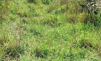 Imagem 4: Fração de terra 2h em alexania g.o