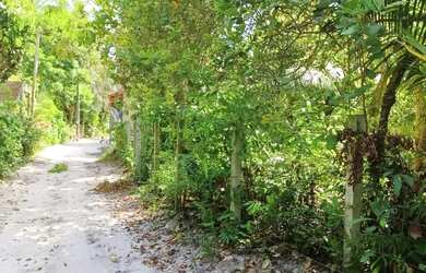 Imagem 4: Terreno belíssimo a 6 minutos do mar de Moreré