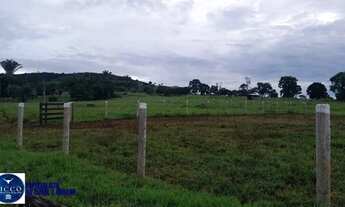 Imagem 5: Fazenda à Venda em Diorama GO