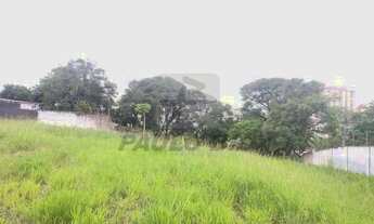 Imagem 6: Terreno comercial para alugar no Bairro Alves Dias em São Bernardo do Campo - SP