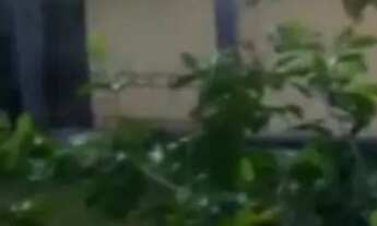 Imagem 5: Casa em barra grande vera cruz