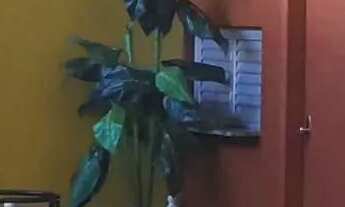 Imagem 5: Apartamento Edifício João Paulo II