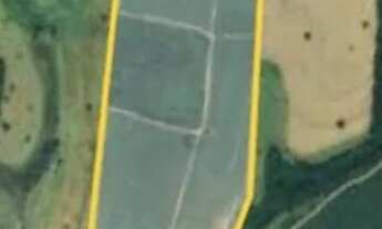 Imagem: SITIO 40 ALQUEIRES 7.000 PÉS DE SERINGUEIRA