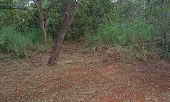 Imagem 4: Chácara no Núcleo Rural Vale Verde com 3 hectares, apenas 200 metros do asfalto