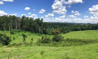 Imagem 6: Terreno à venda no Vila Sonia, Campinas