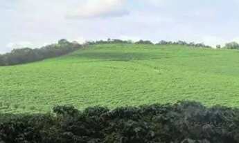 Imagem 6: Linda fazenda para venda em Bom Sucesso MG