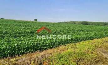 Imagem: Sítio em Rua Saldanha Marinho - Centro