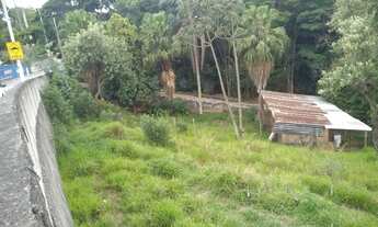 Imagem 4: Lote em Avenida Aníbal Correia - Parque Viana - Barueri/SP