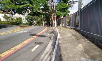 Imagem 7: TERRENO - ALTO DE PINHEIROS - SP