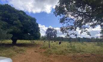 Imagem 2: SÍTIO 3,7 HECTARES A 21 KM DE MONTES CLAROS (SAÍDA PIRAPORA