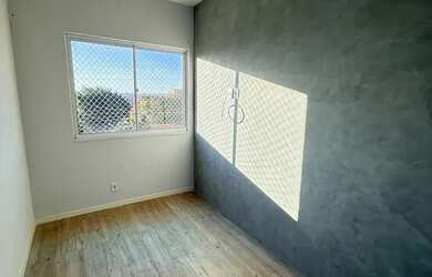 Imagem 6: ágio em samambaia