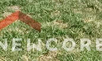 Imagem 6: Lote em condomínio em Avenida Milton Fortunato Guglielminet - Colinas do Castelo - Jaguari