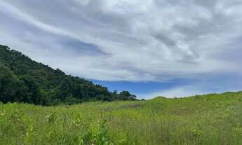 Imagem 3: Lote Residencial em Ibiúna Cercado pela Natureza