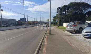 Imagem 5: Terreno comercial à venda em Pinhais