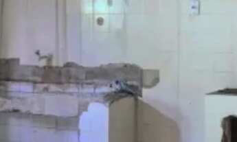 Imagem 7: Vendo casa em Icoaraci - Travessa Lopo de Castro, 903 m2