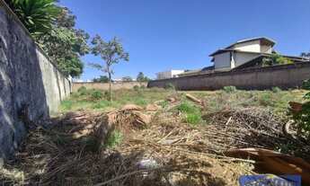 Imagem 5: Excelente lote murado e 100% plano no Taquari Lago Norte