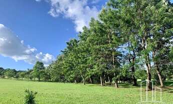 Imagem 4: Terreno à venda, 1313 m² por R$ 495.000,00 - Ingleses do Rio Vermelho - Florianópolis/SC