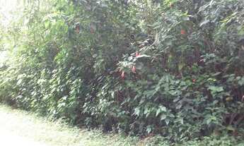 Imagem 4: Terreno à venda, 3085 m² por R$ 230.000,00 - Parque Votorantin - Mairiporã/SP