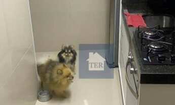 Imagem 5: Apartamento com 2 dormitórios à venda, 63 m² por R$ 425.000,00 - Parque Mandaqui - São Pau