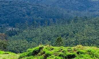 Imagem 4: More perto da natureza